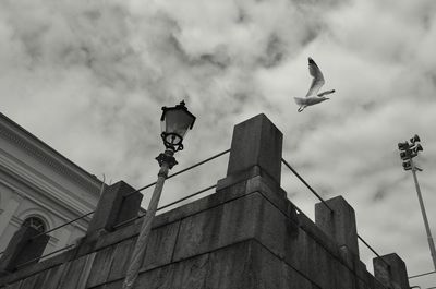 Low angle view of seagulls flying against building