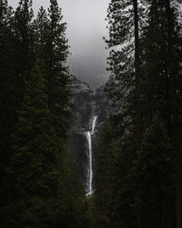Scenic view of waterfall in forest against sky