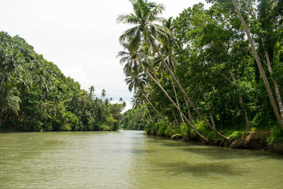 Scenic view of river against sky