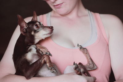 Midsection of woman holding chihuahua