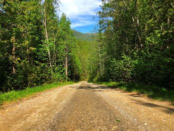 Road amidst trees in forest against sky