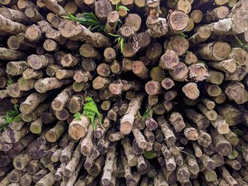 Textures and backgrounds of wood piles from the forest that are ready to be processed