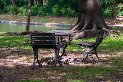 Empty bench in park