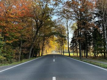 Empty road amidst trees during autumn
