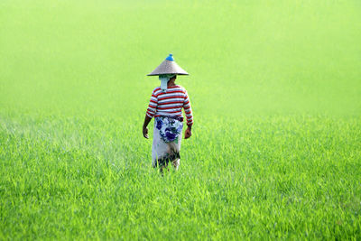 Person walking in rice field