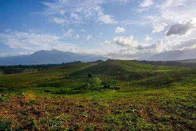 Scenic view of landscape against sky