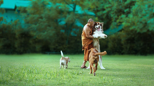 Full length of monk playing with dogs on field at park