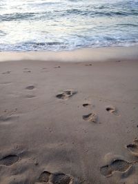 High angle view of footprints on beach