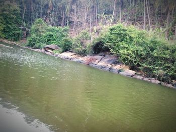Scenic view of river