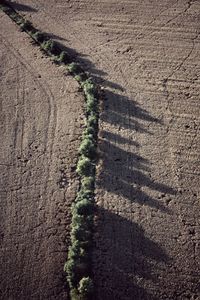 High angle view of tire tracks on dirt road