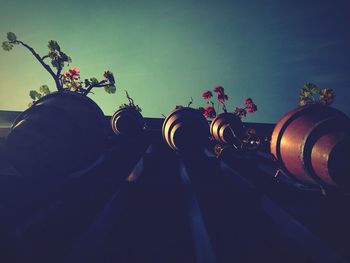 Low angle view of flowering plants against sky