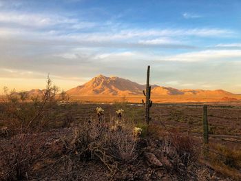 View of desert against cloudy sky