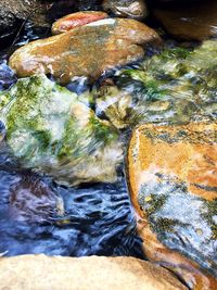 Rocks in sea