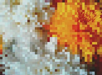 Close-up of multi colored pencils