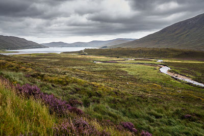 Scenic view of landscape against sky