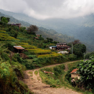 hill