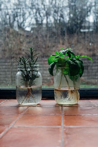 Close-up of glass jar on table