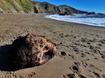 Scenic view of beach and driftwood log against sky and ocean