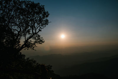 Silhouette tree against sky during sunset