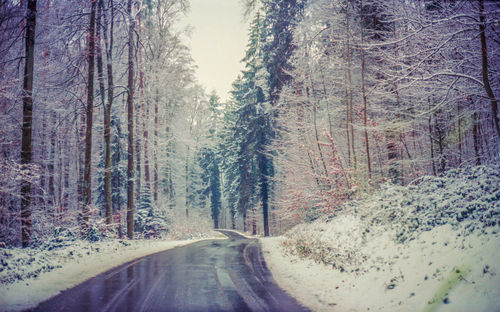 Road amidst trees in forest during winter