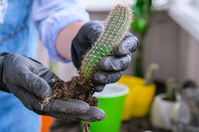 Close-up of man working