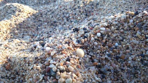 Pebbles on rocks at beach