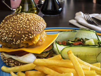 Close-up of cheeseburger with french fries in plate