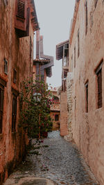 Narrow alley along buildings