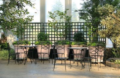 Empty chairs and table against trees