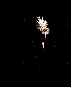 Low angle view of firework display