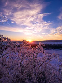 Scenic view of snow covered land during sunset