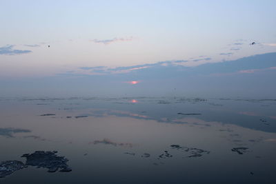 Birds flying over sea against sky during sunset