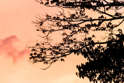 Low angle view of silhouette tree against sky at sunset