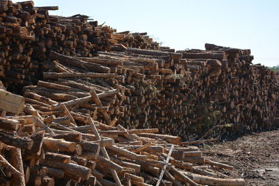 Stacked logs on field
