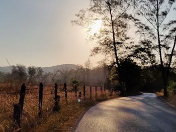 Road amidst trees on field against sky during sunset