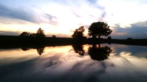 Silhouette of trees at sunset