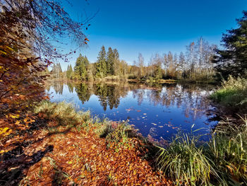 Reflection of trees in lake against sky