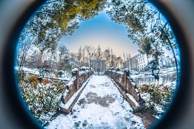 Digital composite image of trees and plants in winter