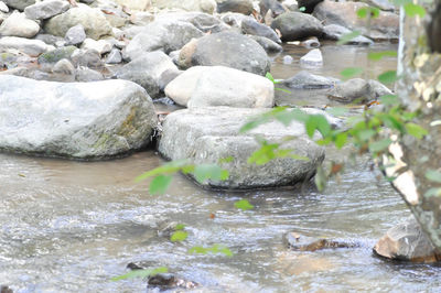 Rocks in lake