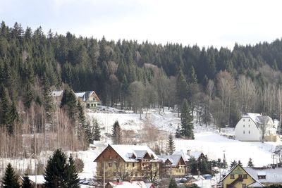 Houses by trees and buildings against sky during winter