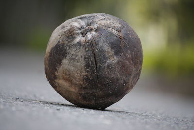 Surface level of dried coconut on road