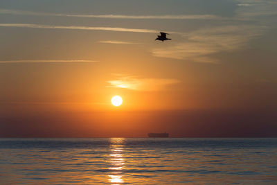 Silhouette bird flying over sea against sky during sunset
