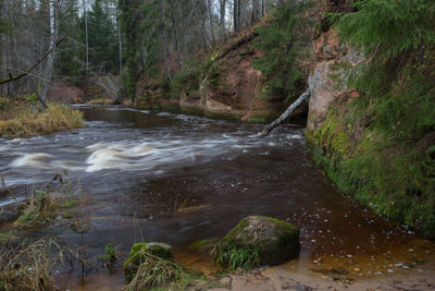 Stream flowing through rocks in forest