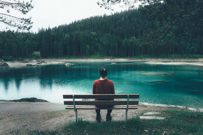 Rear view of man sitting on bench while looking at caumasee lake against trees