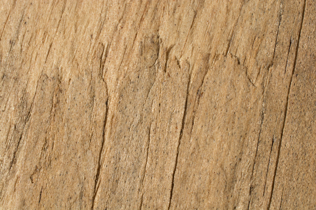 CLOSE-UP OF WOODEN SURFACE