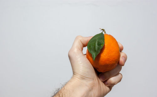 Cropped image of hand holding orange fruit against white background