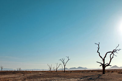 Scenic view of landscape against clear sky