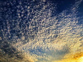 Low angle view of tree against sky