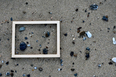 High angle view of seashells on beach