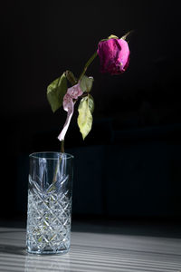 Close-up of drink in glass on table